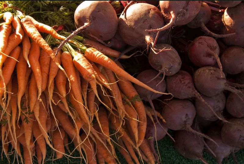 Как хранить морковь и свеклу зимой: в погребе, подвале, квартире