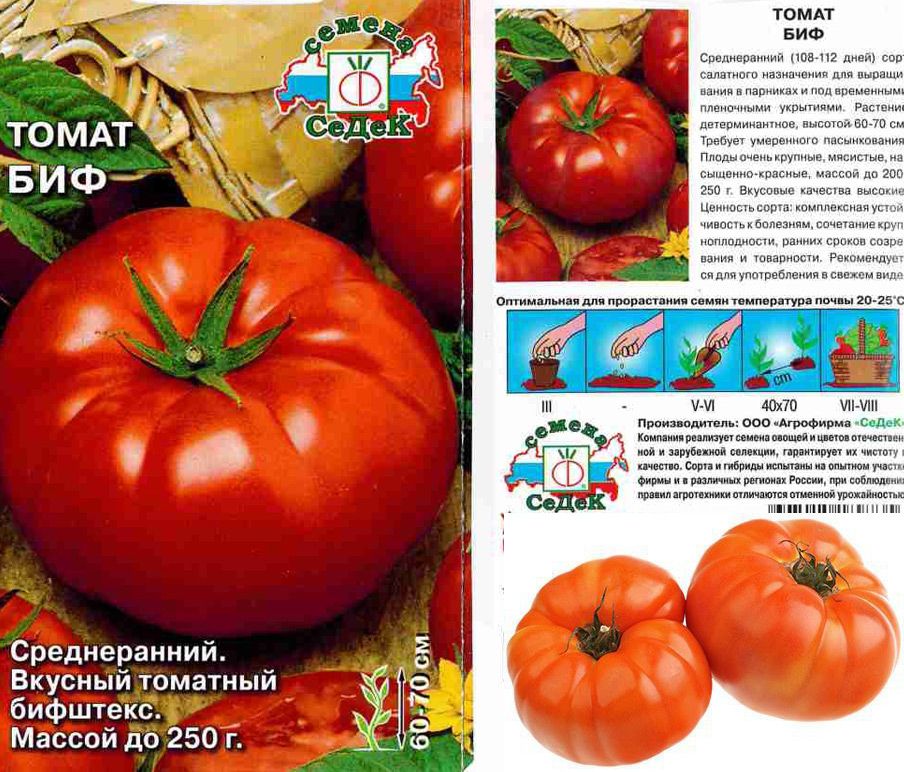 36 голландских сорта томатов: каталог семян голландской селекции