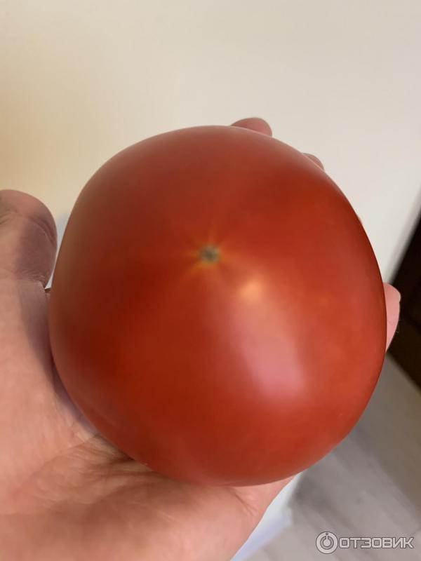 Красный томат Большая мамочка