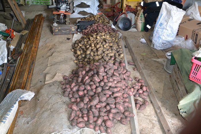 Хранение картофеля в гараже