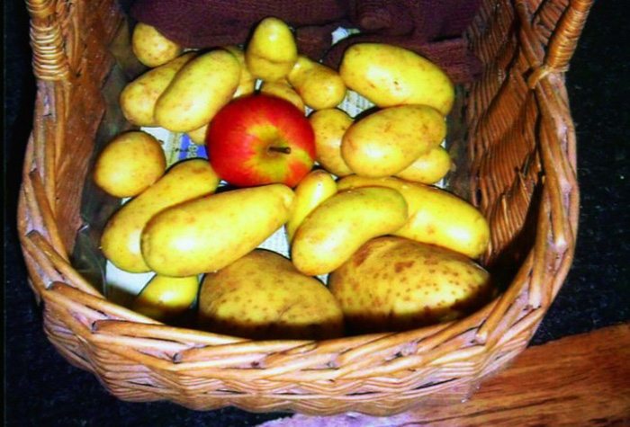 Яблоко в ящике с картошкой