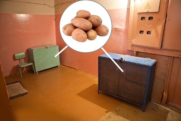 хранение картофеля в коридоре