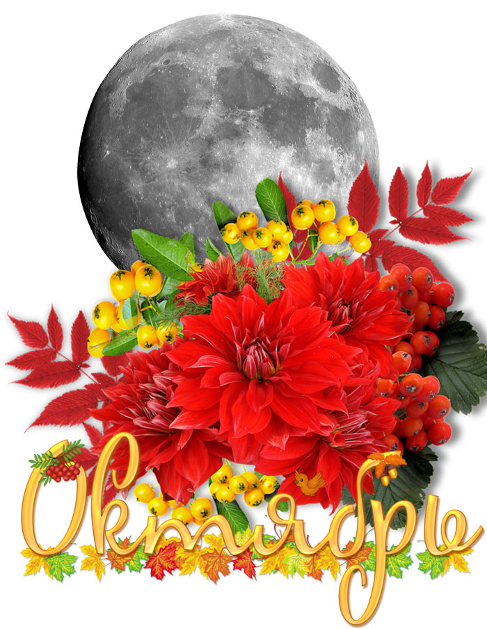 Лунный посевной календарь цветовода на октябрь 2024 года