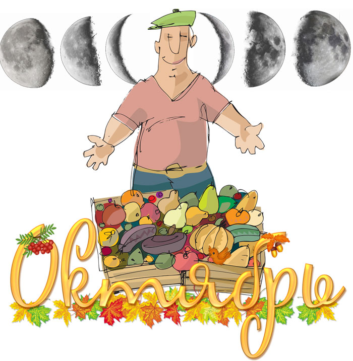Лунный календарь садовода и огородника на октябрь 2024