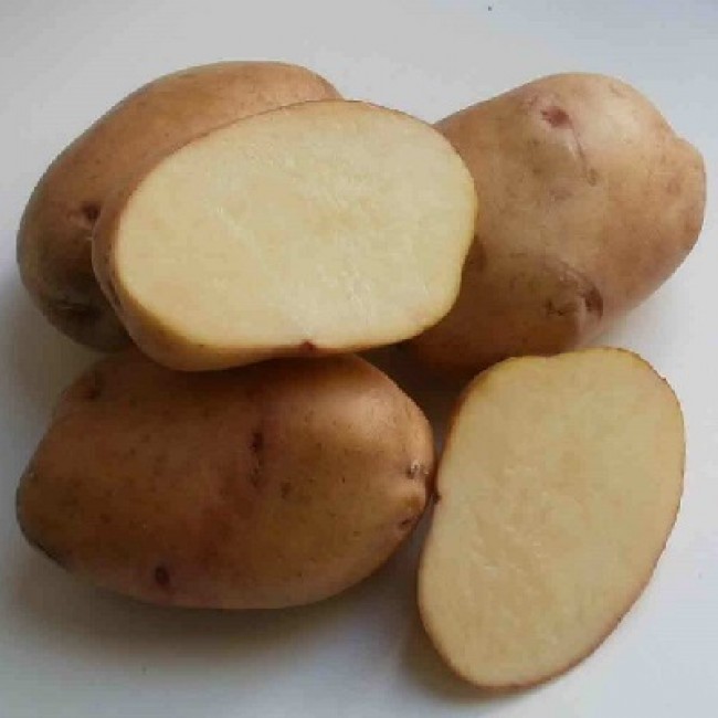 Разрезанный картофель Крепыш