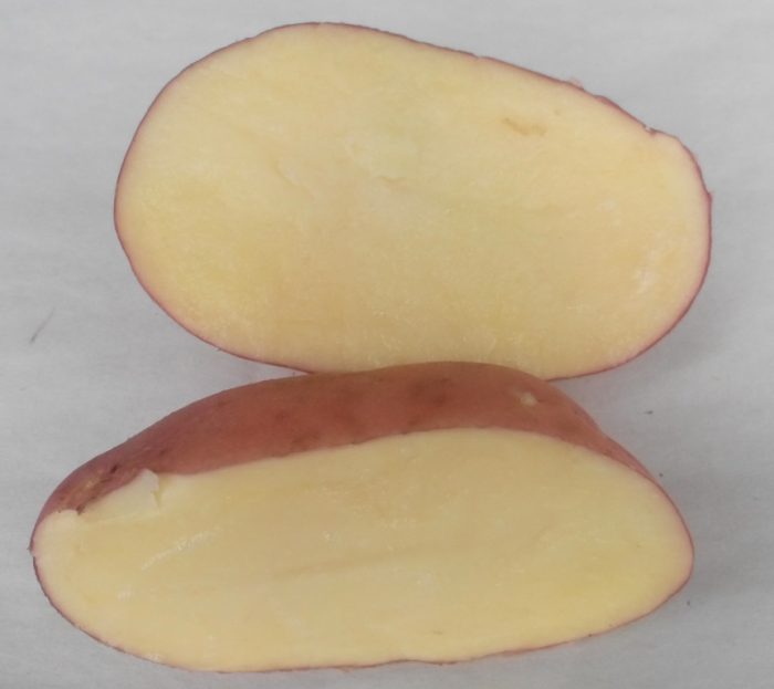 Разрезанный картофель