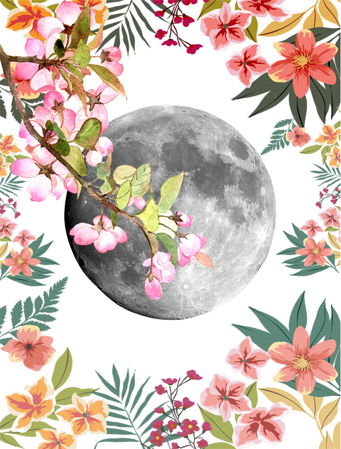 Цветы и Луна