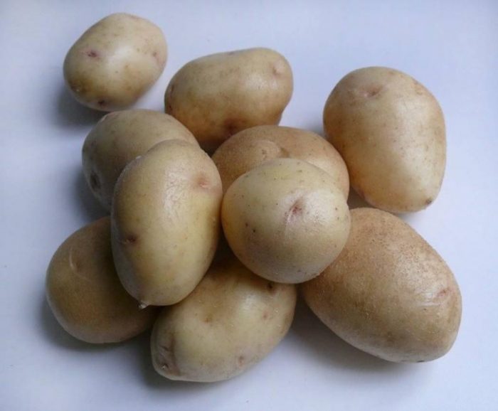 Клубни картофеля сорта Невского