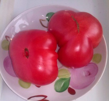 Малиновые томаты
