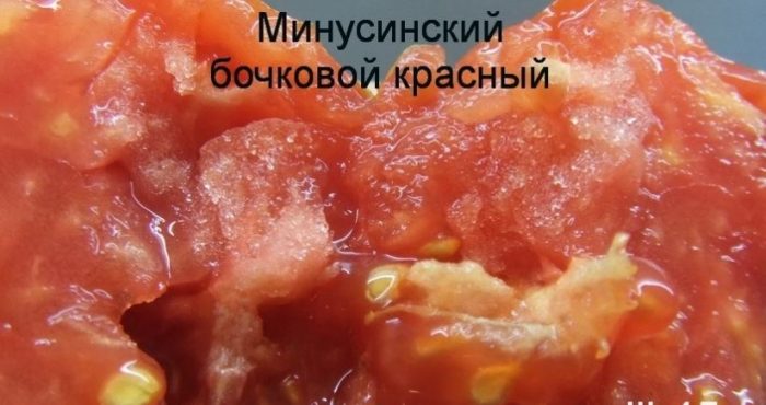 Мякоть томата сорта Минусинского бочкового