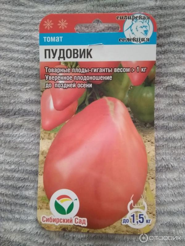 Семена томата Пудовик
