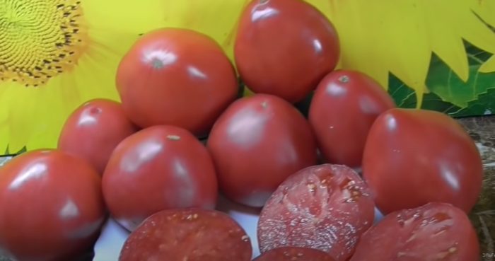 Плоды томата сорта Малиновое мамино сердце