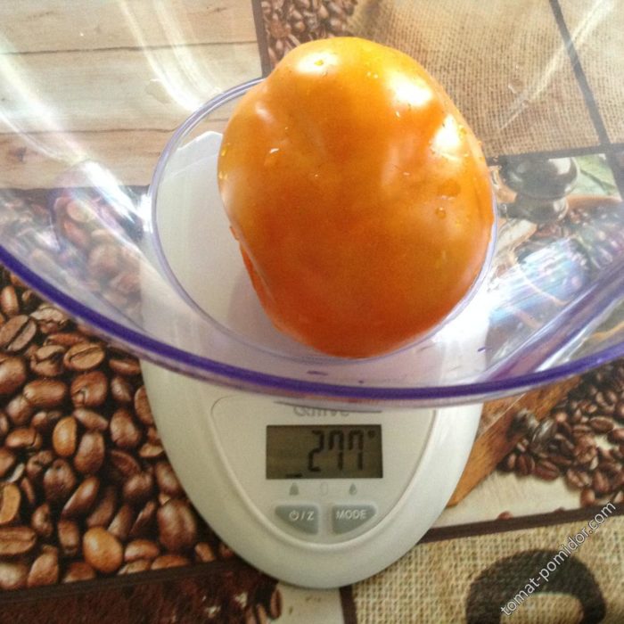 Весы с томатом