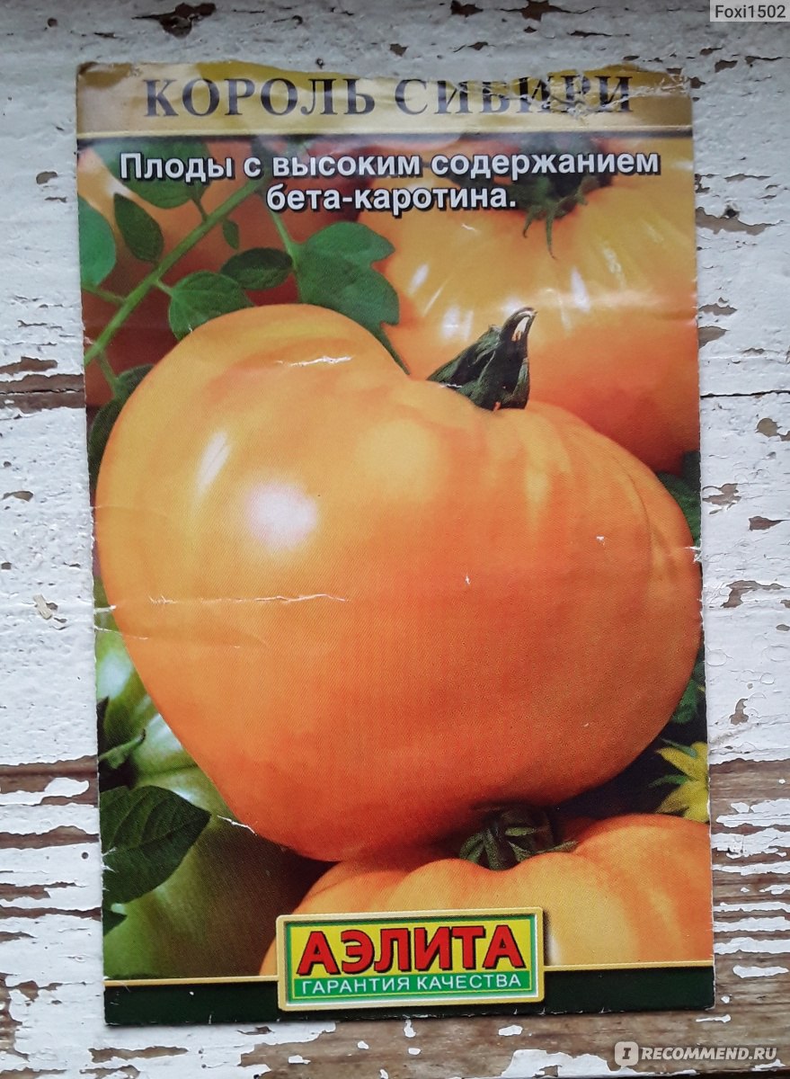 Семена томата Король Сибири