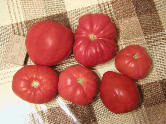 Плоды томатов Малиновое чудо