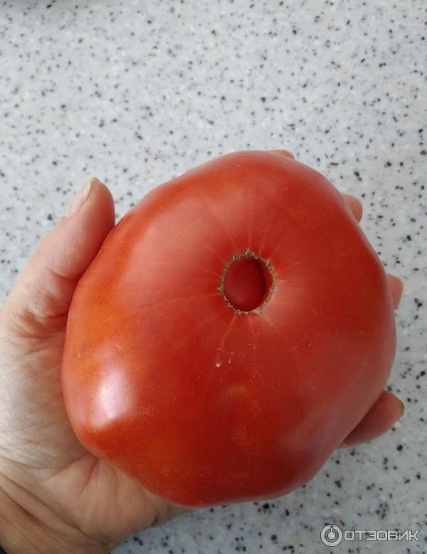 Спелый красный томат