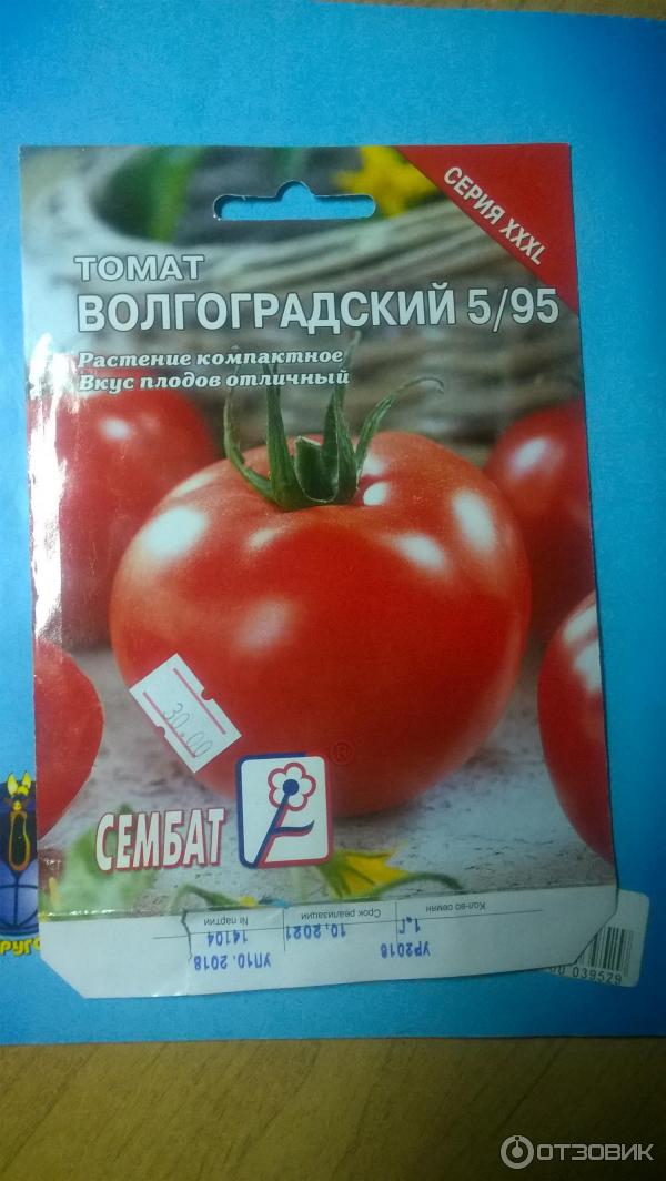Сорта томатов Волгоградский 5/95, 323, розовый: фото, отзывы