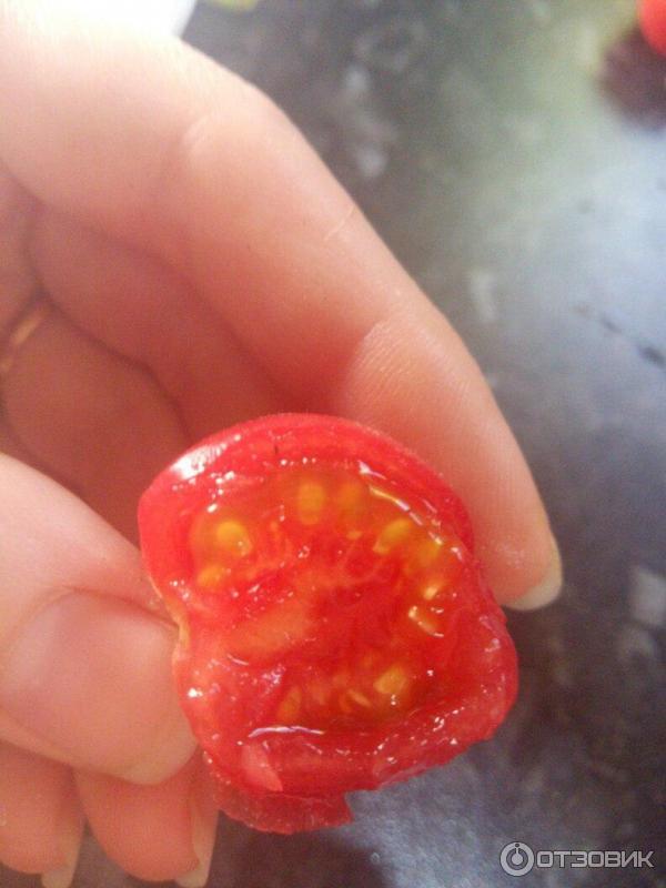 Разрезанный томат
