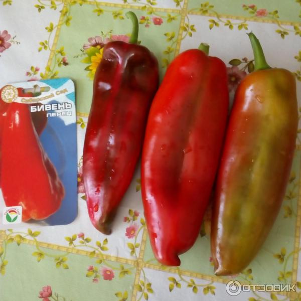 Ранние и ультраранние сорта перцев: Топ-57, фото, отзывы