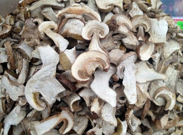 Сушеные белые грибы