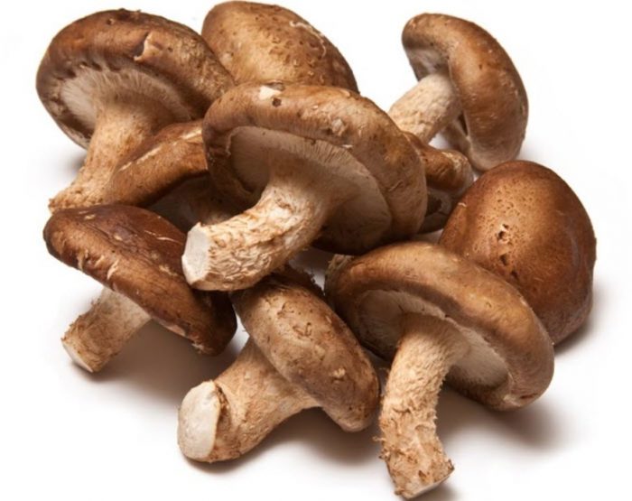 Как выглядят грибы шиитаке