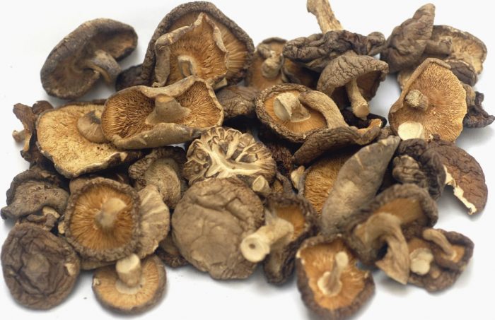 Сушенные грибы шиитаке