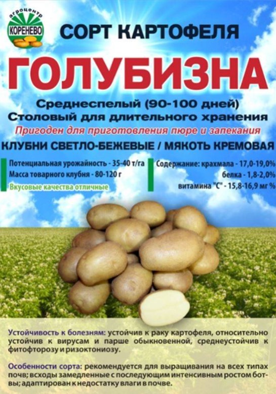 Сорт картофеля Голубизна: 25+ фото, описание, отзывы, сравнение