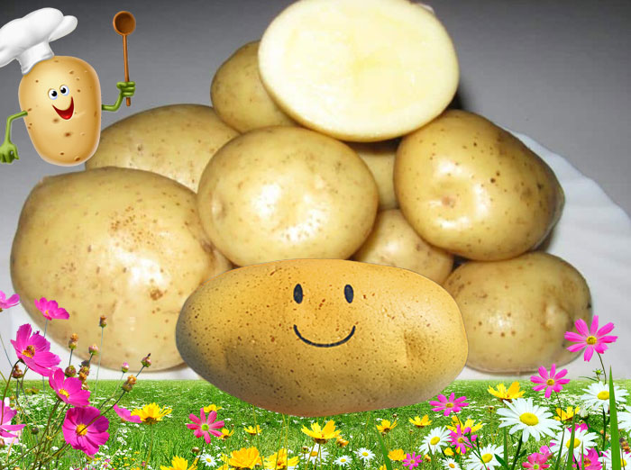 Луговской картофель