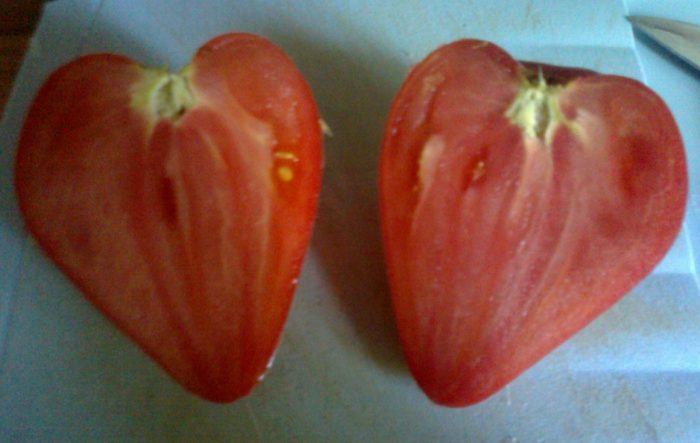 Сердцевидный томат
