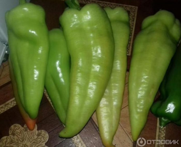 Зеленые перцы сорта Банановый десерт
