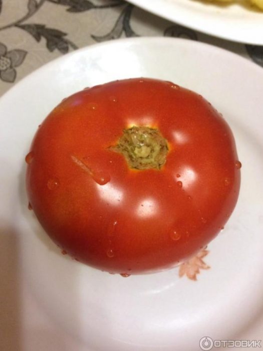 Спелый помидор сорта Дубок