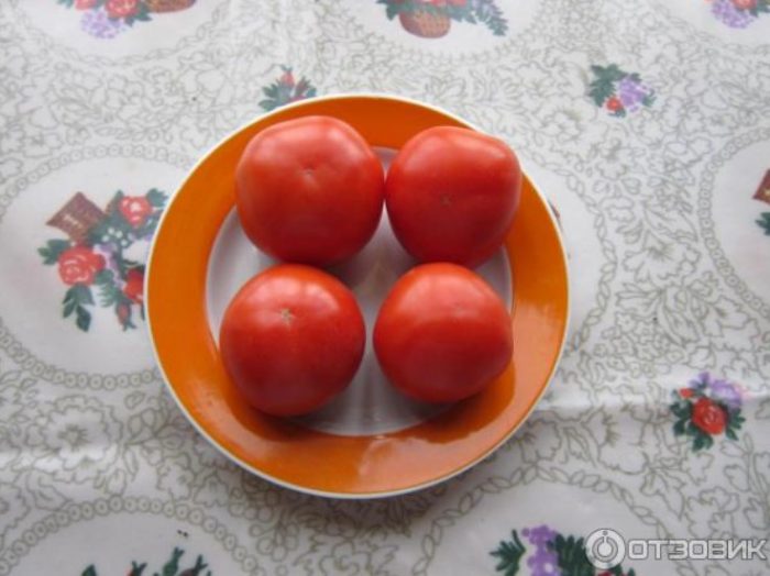 Спелые томаты на блюде