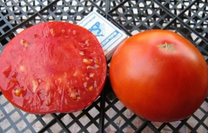 Плод и разрез томата