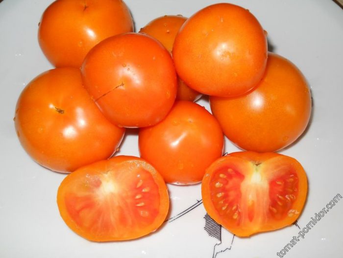 Спелые помидорки сорта Золотая теща