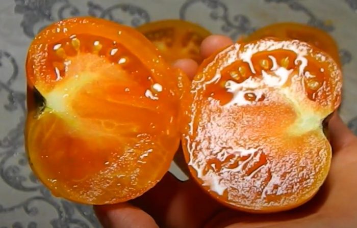 Плоды томата Золотая теща