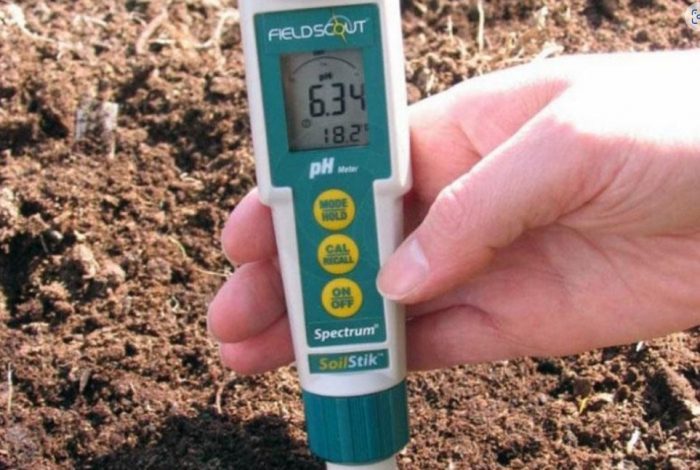 Измерение температуры почвы