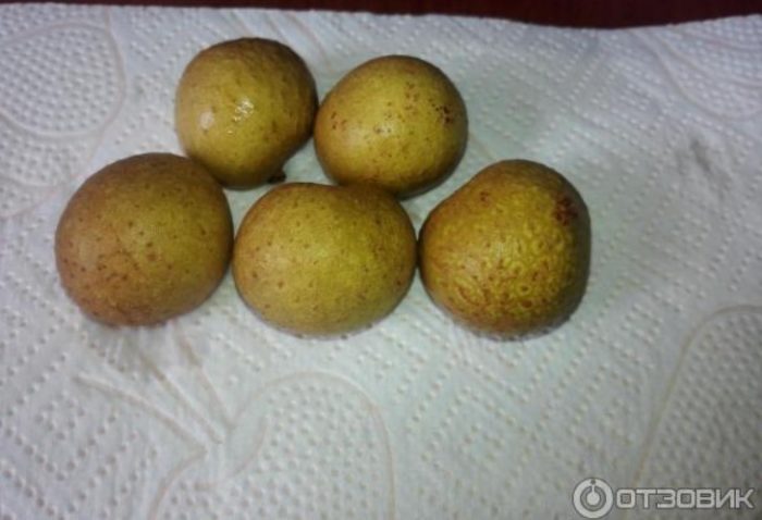 Невзрачные плоды лонгана
