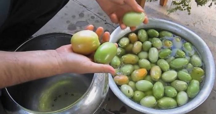 Подготовка томатов