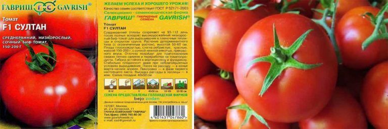 36 голландских сорта томатов: каталог семян голландской селекции