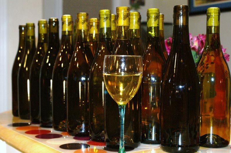 Вино приготовление винограда. Домашнее вино. Вино из винограда Молдова. Лучших технических сортов для домашнего виноделия. Как сделать шампанское в домашних условиях из винограда.