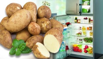 Картофель и холодильник