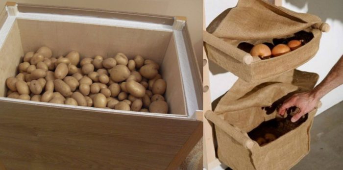 хранение картофеля в квартире