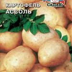 Семена картофеля Ассоль