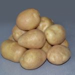 Клубни картофеля удача