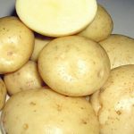Картофель семенной сорта Ариэль