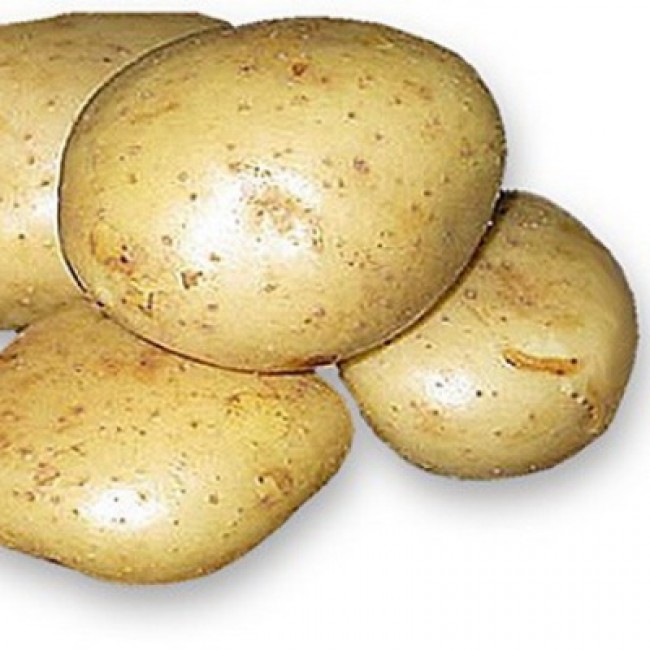 Какой сорт картофеля рассыпчатый и вкусный