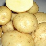 Клубни картофеля Бриз
