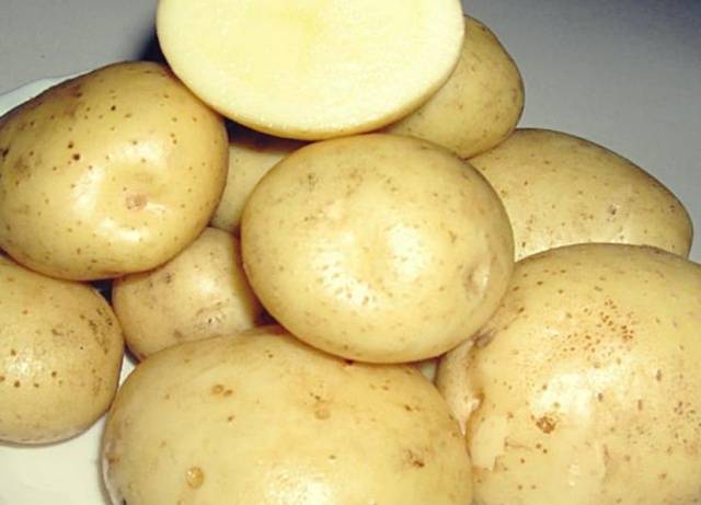 Клубни картофеля Бриз