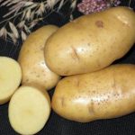 Белоснежный картофель