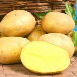 Картофель Ласунок